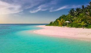 Image result for Pink Sand Beaches in Bahamas