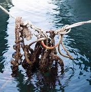 Image result for Broken Anchor Rope