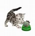 Image result for Catnip Balls Cat Toys