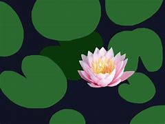 Image result for Lotus Theme GIF