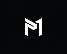 Image result for Pm Gaming Logo