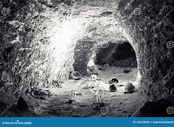 Image result for Archaeological Human Bones