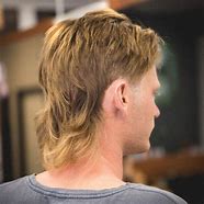 Image result for European Mullet Haircut