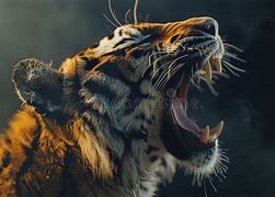 Image result for Tiger Skull Closed Mouth