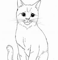 Image result for Animals in Drowing Cat