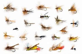 Image result for Fly Fishing Lures