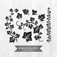 Image result for Ivy Leaf SVG