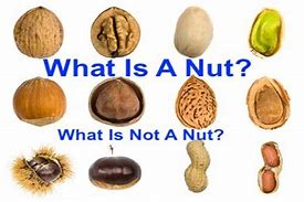 Image result for His Name Is Nuts