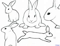 Image result for Easter Bunny Face Drawing