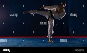 Image result for Yoko Geri Karate