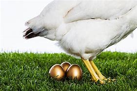 Image result for The Goalen Egg with Hen