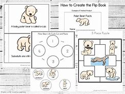 Image result for Polar Bear Life Cycle Chart