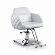 Image result for Beauty Salon Chairs