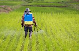 Image result for Organic Farming Pesticides