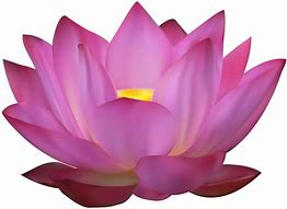 Image result for Lotus Clip Art