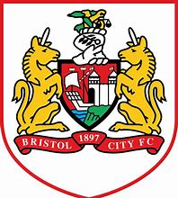 Image result for Bristol City Football Club Logo