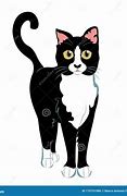 Image result for Black and White Female Cat Cartoon