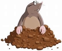 Image result for Mole Clip Art