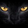 Image result for Cat Eyes Wallpaper