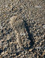 Image result for Footprint in Mud