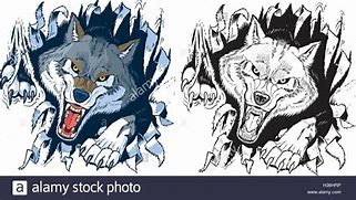 Image result for Wolf Teeth Drawing Feral