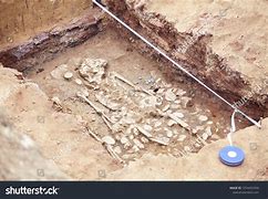 Image result for Archaeological Human Bones