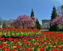 Image result for Alexandra Gardens