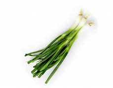 Image result for Chives Shaker PNG