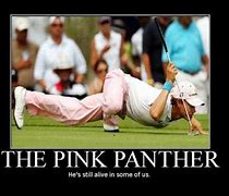 Image result for Pink Panther Funny Guy