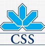 Image result for CSS Logo.png