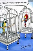 Image result for Parrot Humor