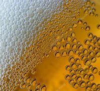 Image result for Beer Cover Photo Foam