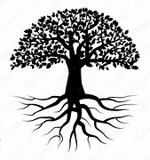 Image result for Black and White Tree with Roots