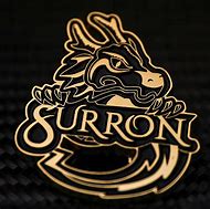 Image result for Surron Logo Vector