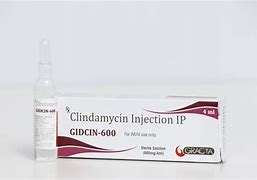 Image result for Clindamycin Roll On