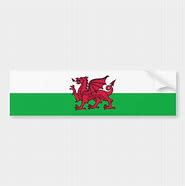 Image result for Welsh Flag Butterfly Car Stickers