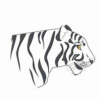 Image result for Tiger Head Shape Side