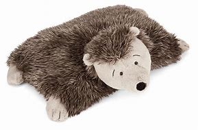 Image result for Hedgehog Gifts