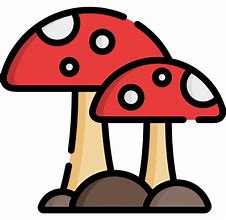 Image result for Mario Mushroom Icon