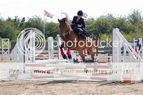 Image result for Side Saddle Show Jumping