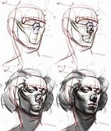 Image result for Drawing Reference Sheets Head