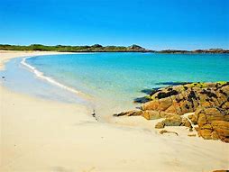 Image result for Isle of Coll Grapevine