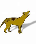 Image result for Thylacine Transparent Background