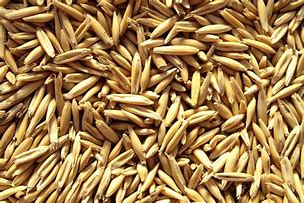 Image result for Unhulled Oat Groats