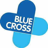 Image result for Baby Blue Cross