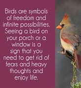 Image result for Predation of Birds Symbol