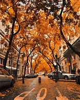 Image result for City Street View in Autum