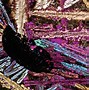 Image result for Rock Microscopic