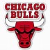 Image result for Bulls Football Logo