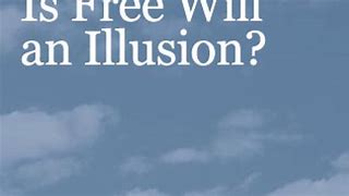 Image result for Free Will Illusion